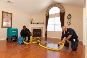 Chico, CA Disaster restoration crew drying out hardwood floor after water damage